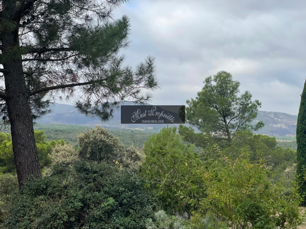 Offres de vente Villa Bizanet 11200