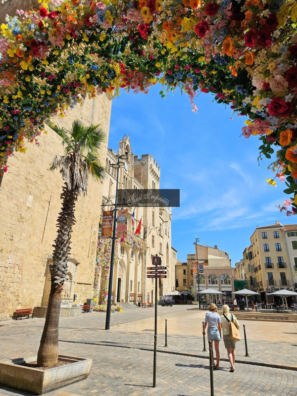 Offres de vente Immeuble Narbonne 11100