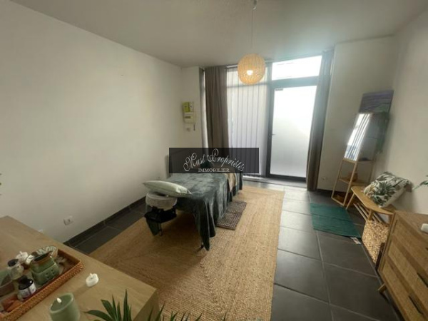 Vente Immobilier Professionnel Murs commerciaux Narbonne 11100