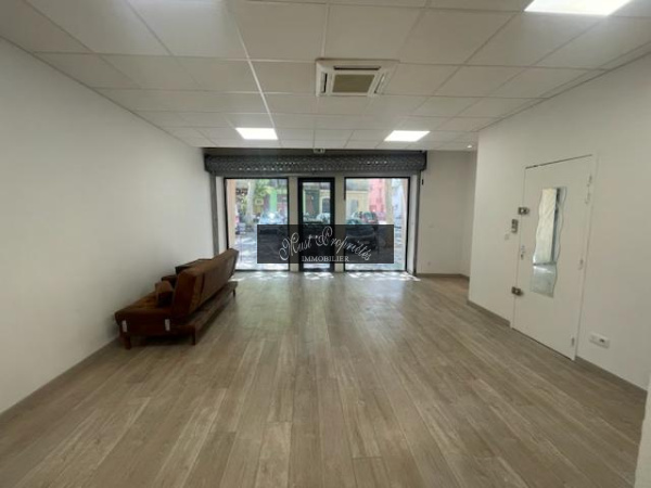 Vente Immobilier Professionnel Murs commerciaux Narbonne 11100